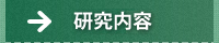 研究内容
